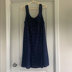 Navy and Tan Dress